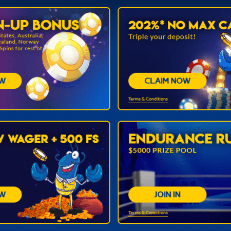 Casino Games for Clearing Wagering Requirements Fast | New 2024 List