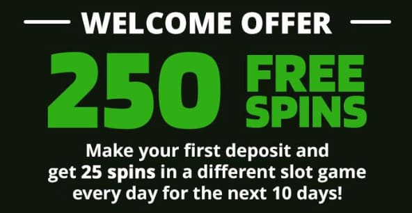 Screenshot of the Wild Casino 250 Free Spins Bonus