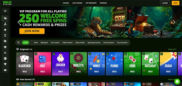 Wild Casino homepage screenshot